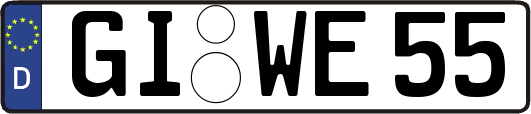 GI-WE55