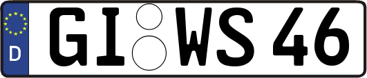 GI-WS46