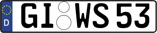 GI-WS53