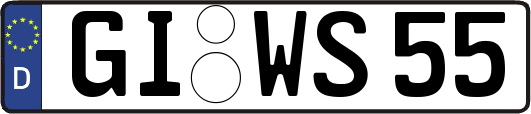 GI-WS55