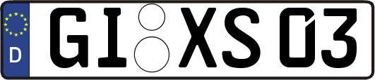 GI-XS03