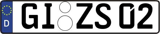 GI-ZS02