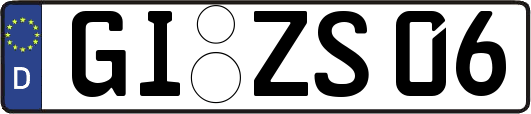 GI-ZS06