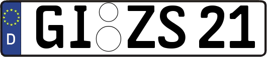 GI-ZS21