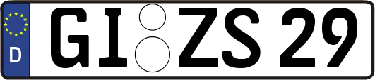 GI-ZS29