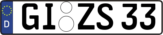 GI-ZS33