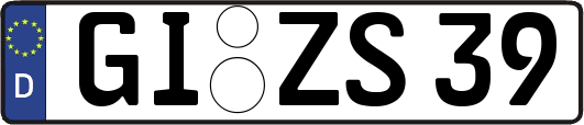 GI-ZS39