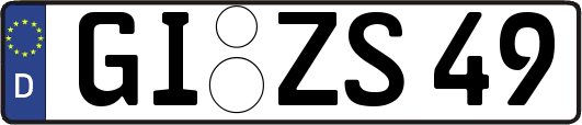 GI-ZS49