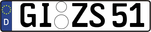 GI-ZS51