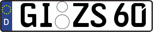 GI-ZS60