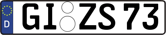 GI-ZS73