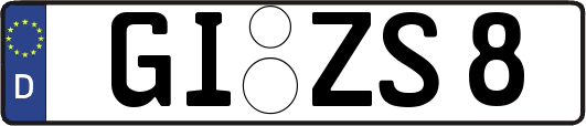 GI-ZS8