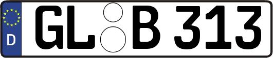 GL-B313