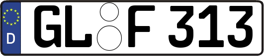 GL-F313
