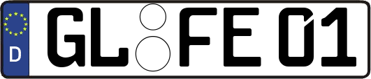 GL-FE01