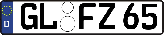 GL-FZ65