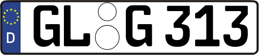 GL-G313