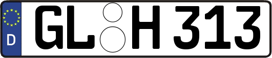 GL-H313