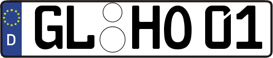 GL-HO01