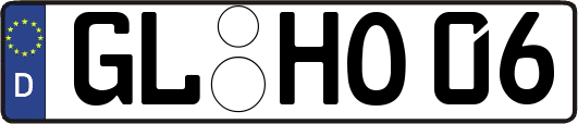 GL-HO06