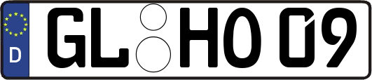 GL-HO09