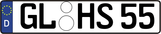 GL-HS55