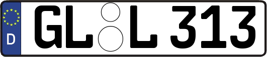 GL-L313