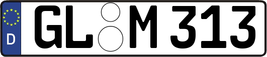 GL-M313