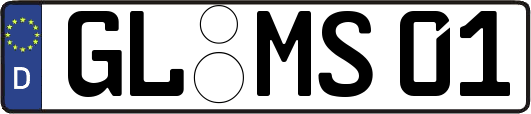 GL-MS01