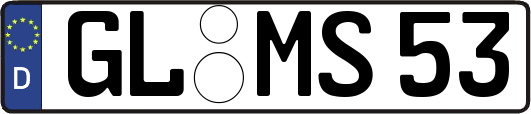 GL-MS53