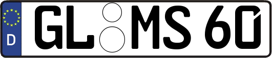 GL-MS60