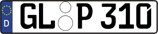 GL-P310