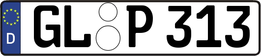 GL-P313