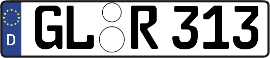 GL-R313