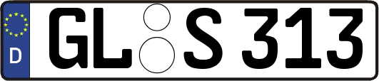 GL-S313