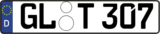 GL-T307