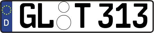 GL-T313