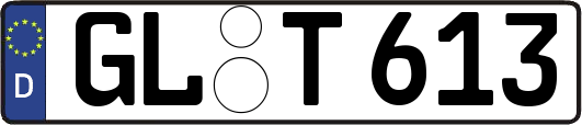 GL-T613