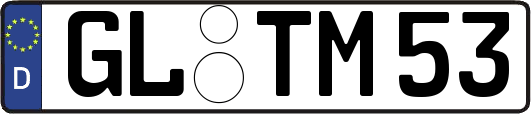 GL-TM53