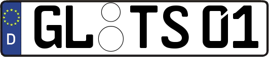GL-TS01