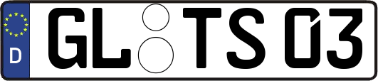 GL-TS03