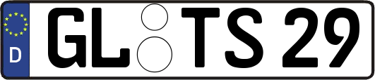 GL-TS29