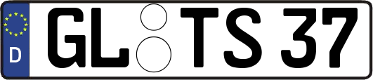 GL-TS37