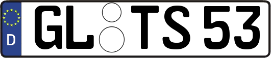 GL-TS53