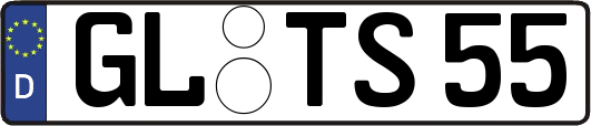 GL-TS55