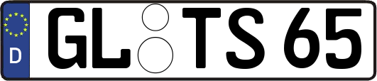GL-TS65