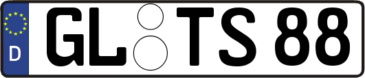 GL-TS88