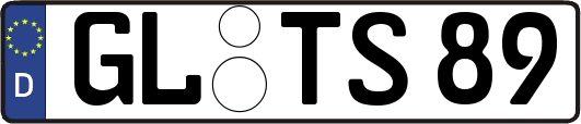 GL-TS89