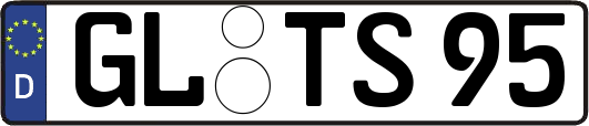 GL-TS95