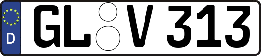GL-V313